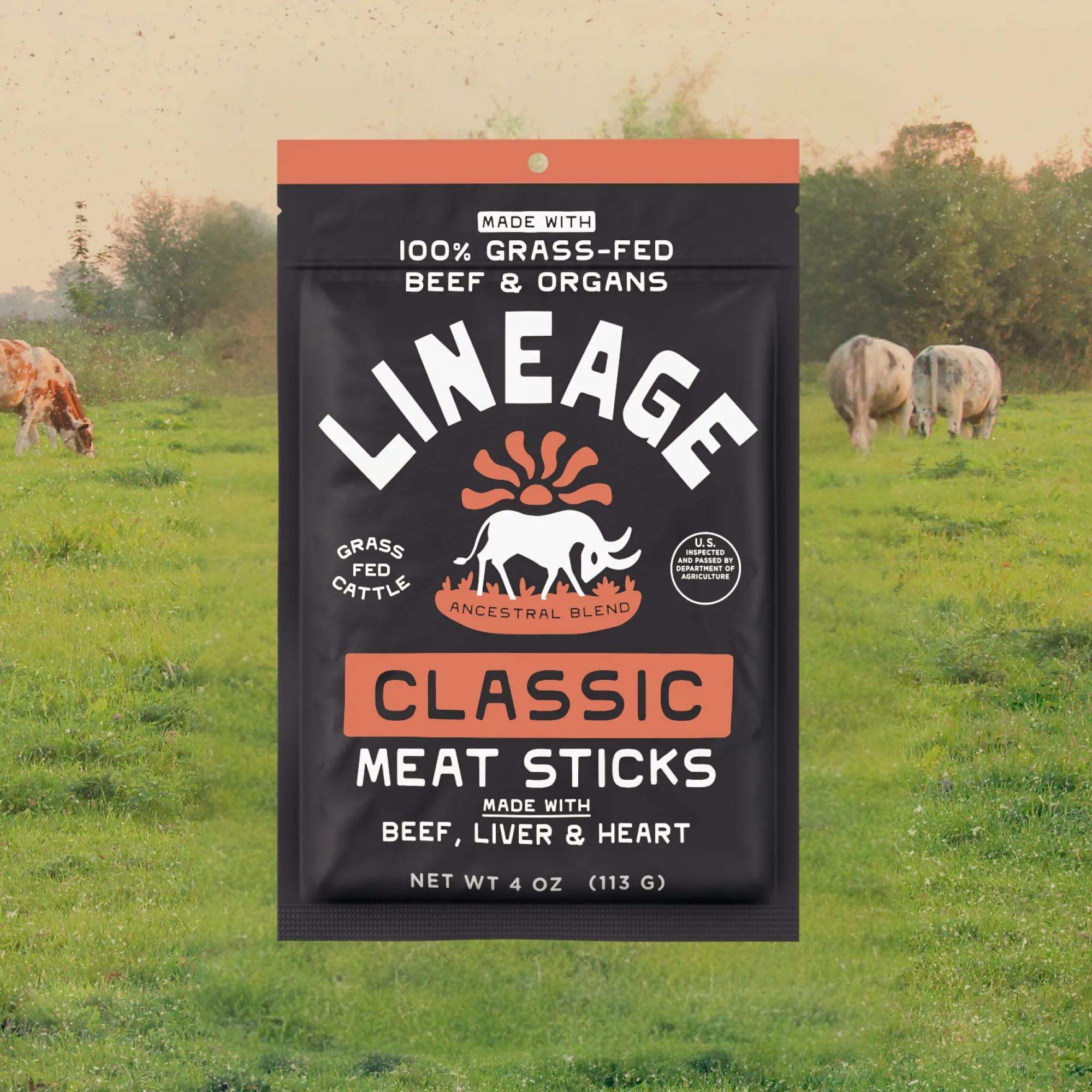 100% Grass-Fed Beef Meat Sticks logo