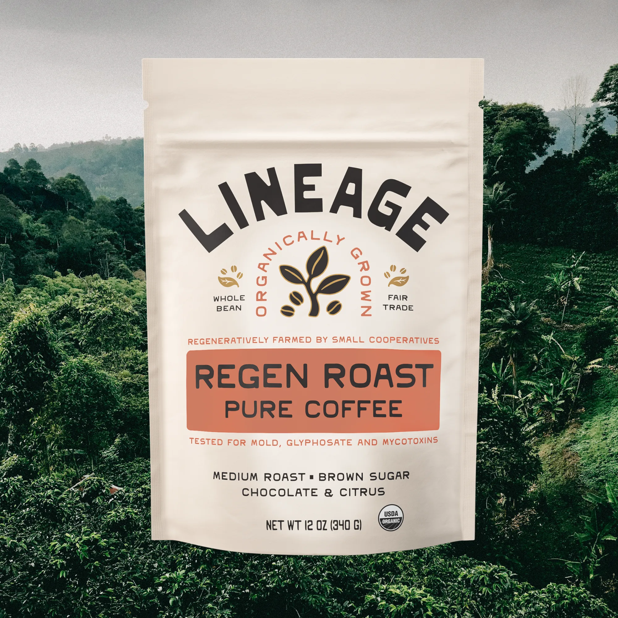 Regen Roast Coffee logo