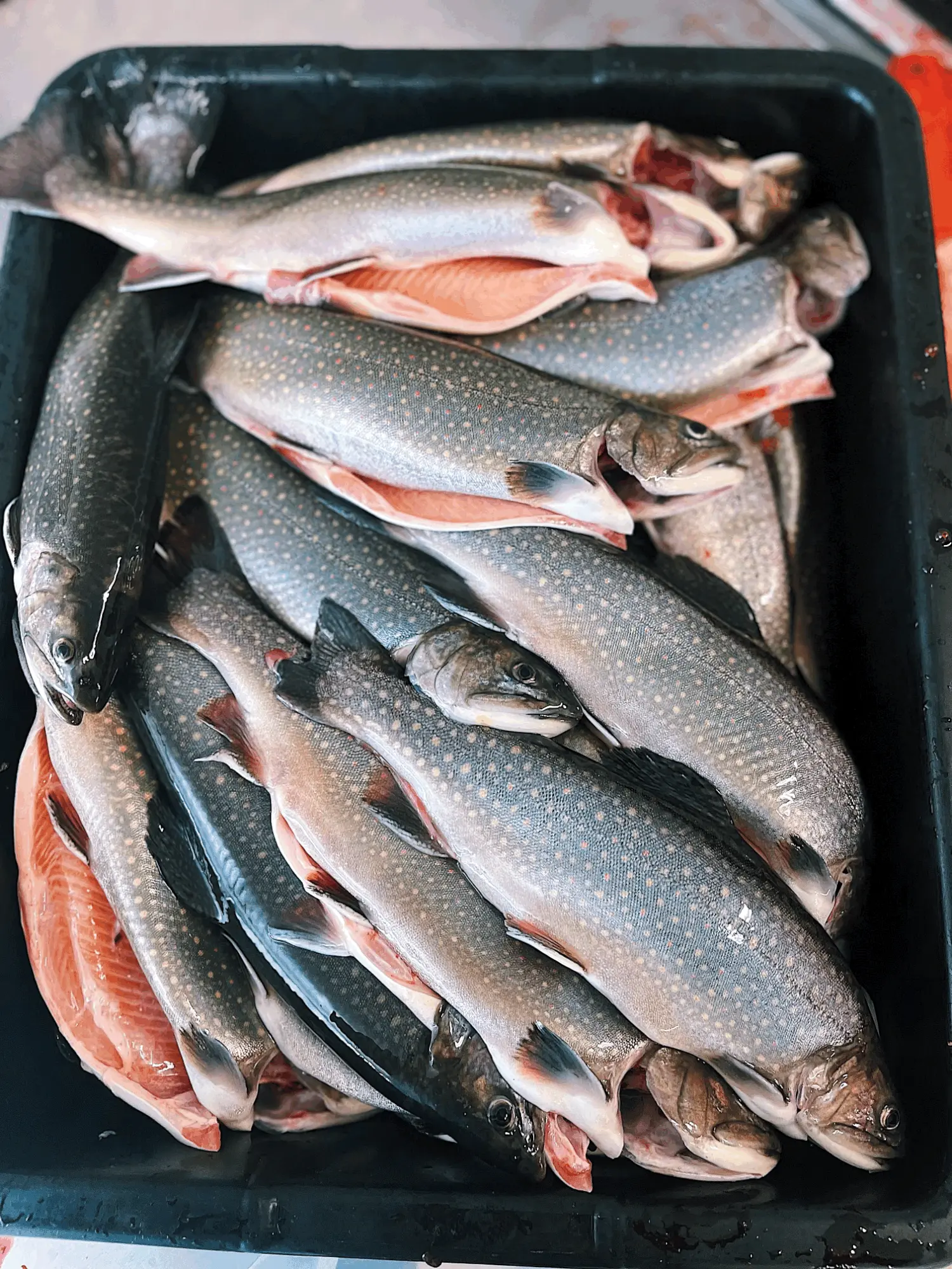 Smoke In Chimneys - Trout Boxes logo