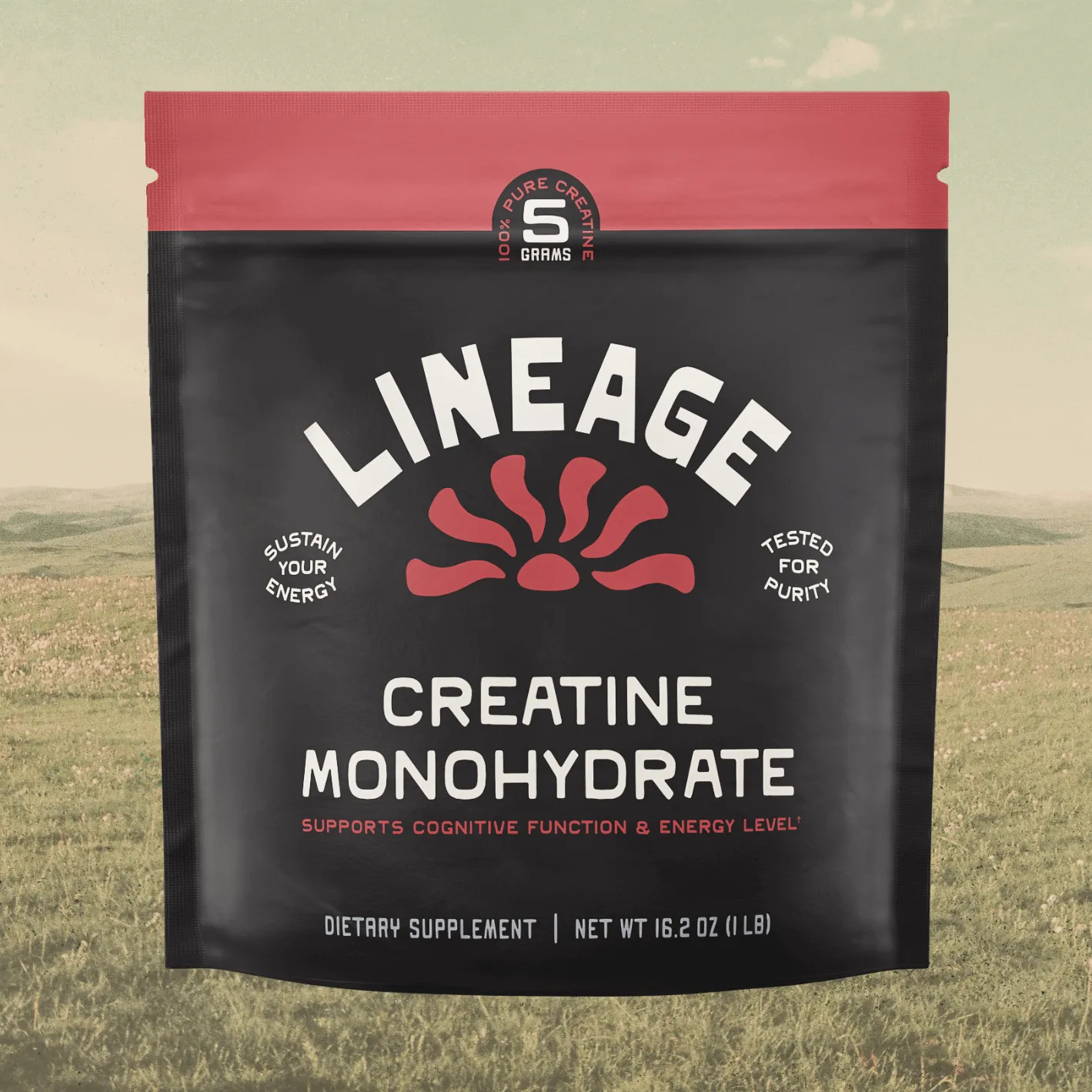 Creatine Monohydrate logo